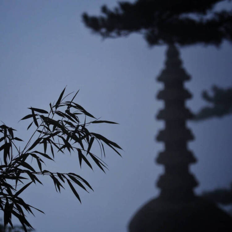 东京（明治维新后故事主要发生地） - 山口珠理影片高清在线播放19 - 手机看剧